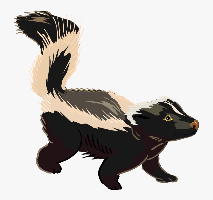 Skunk Png - Skunk Clipart, Transparent Png
