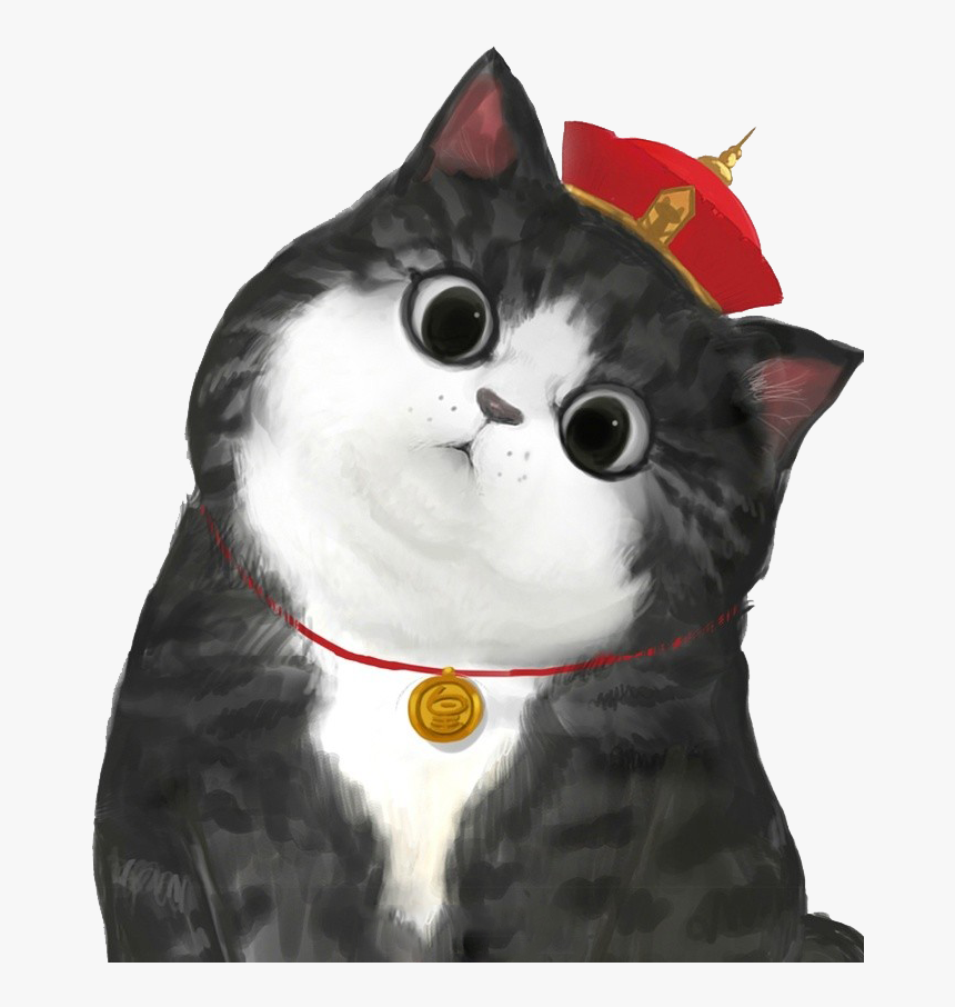 Cat, Fujian, White Tea, Domestic Short Haired Cat, - 吾 皇 巴 扎 黑, HD Png Download