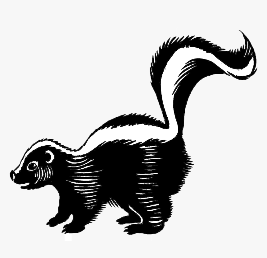Skunk Png Background - Skunk Black And White, Transparent Png