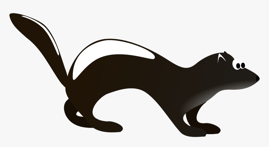 Skunk Png - Small Mammal Clip Art, Transparent Png