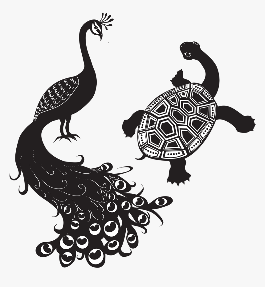 Peacock And The Tortoise , Png Download - Peacock And The Tortoise, Transparent Png