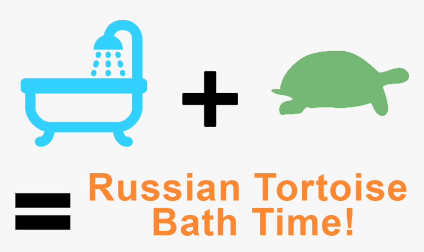 How To Bathe A Russian Tortoise, HD Png Download