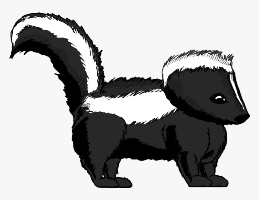 Skunk Clipart Striped Skunk - Skunk Clipart Transparent, HD Png Download
