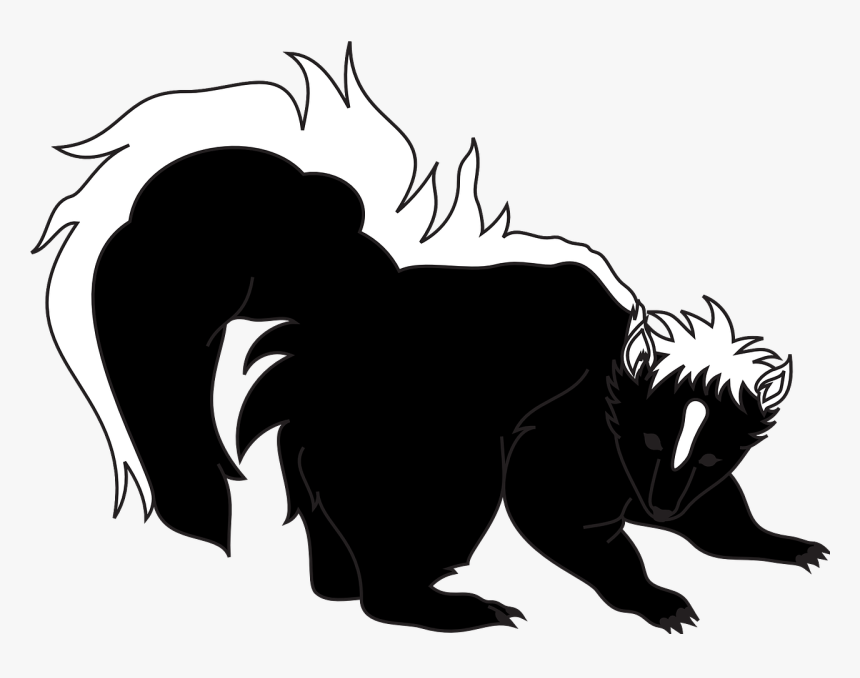 Skunk Png, Transparent Png