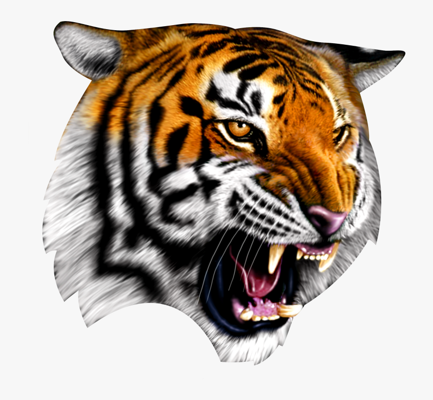 Cadworxlive Gives You Access To 30,000 Quality Peices - Confederate Flag With Tiger, HD Png Download