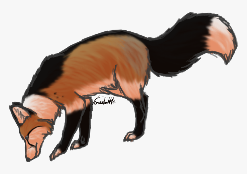 Striped Skunk , Png Download - Striped Skunk, Transparent Png