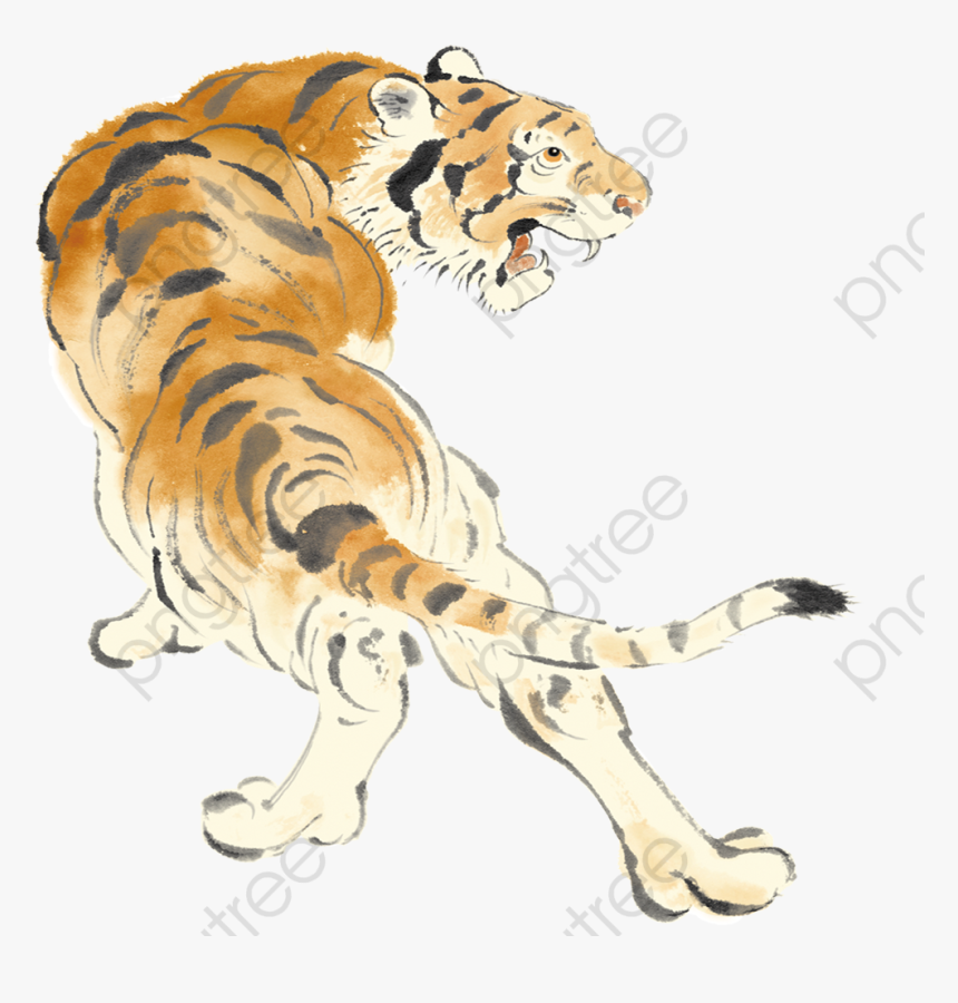 Transparent Tiger Clipart - Clip Art, HD Png Download