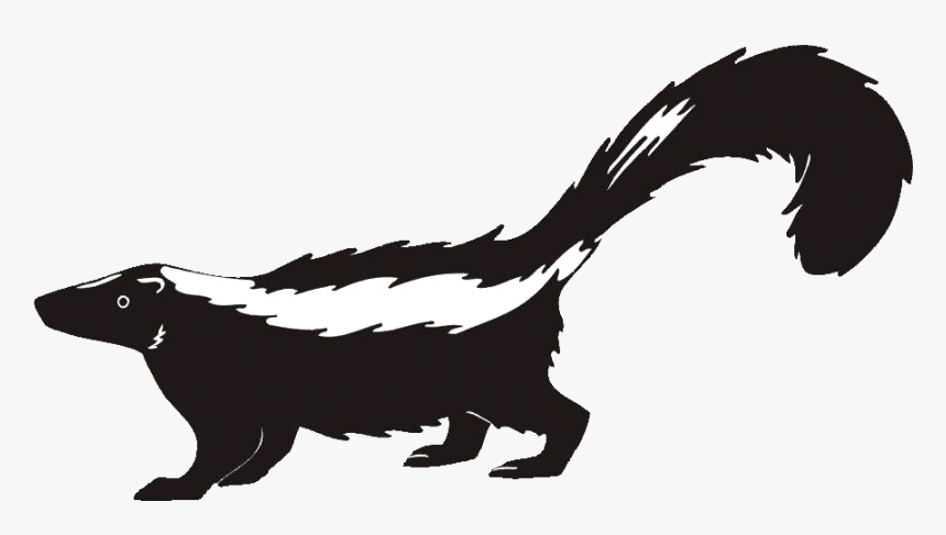 Skunk Clipart Transparent - Transparent Skunk Clipart, HD Png Download