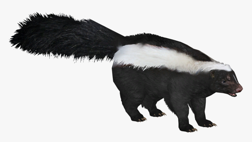 Zt2 Download Library Badger, HD Png Download