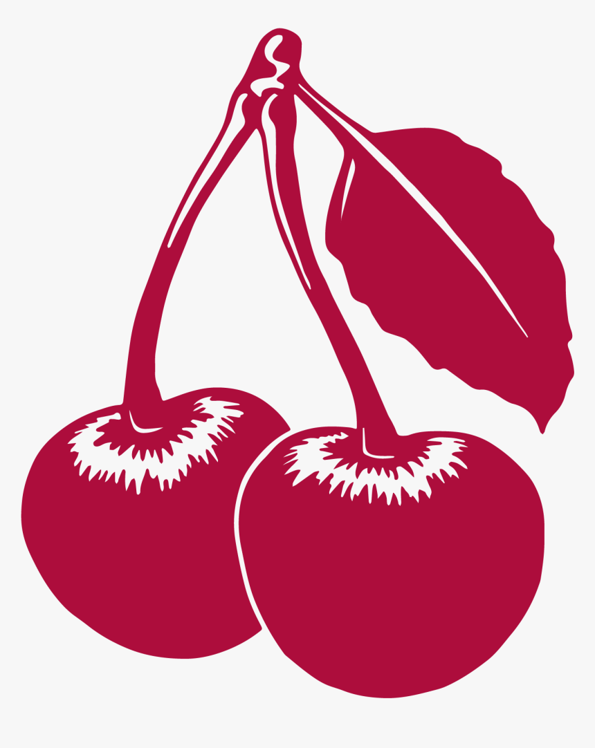 About 7,000 Cherries Grow On A Single Cherry Tree, HD Png Download