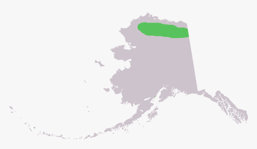 Valley Vector Mountain Alaska - Nenana River Alaska Map, HD Png Download