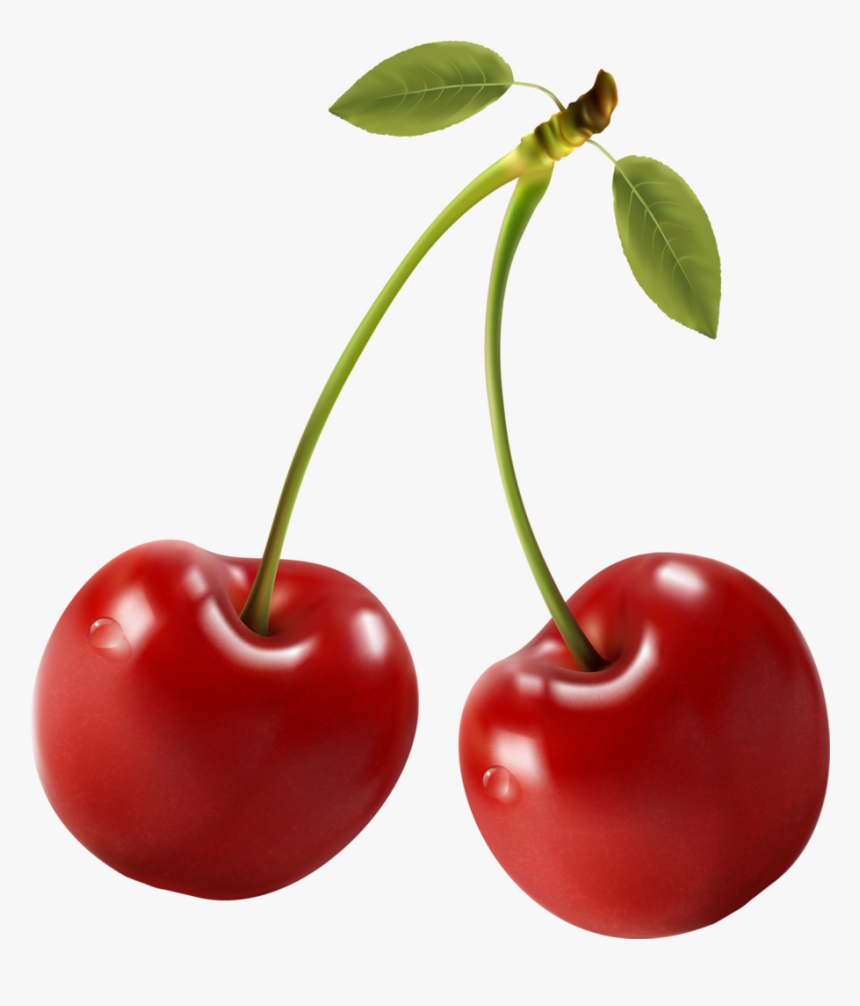Cherries Food Clipart, Perfect Food, Printing Labels, - Red Cherry Clipart, HD Png Download