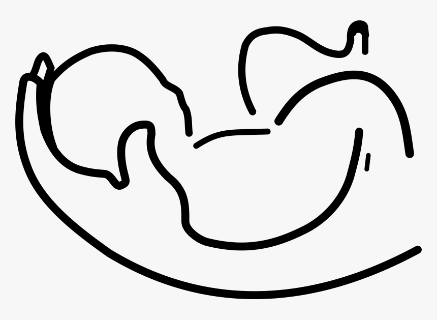 Transparent White Baby Logo, HD Png Download