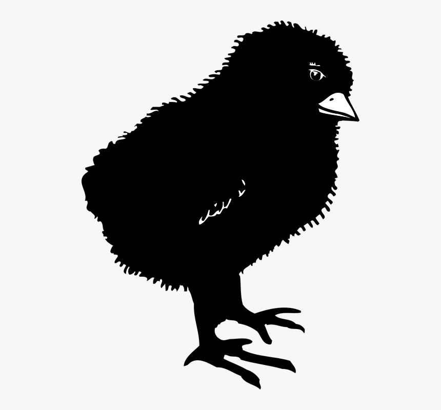 Black, Chicks, Bird, Baby, Dark, Little, Small, Chicken - Baby Chick Silhouette Png, Transparent Png