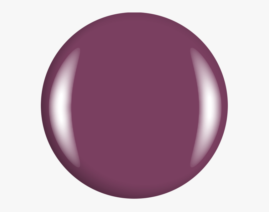 Circle, HD Png Download