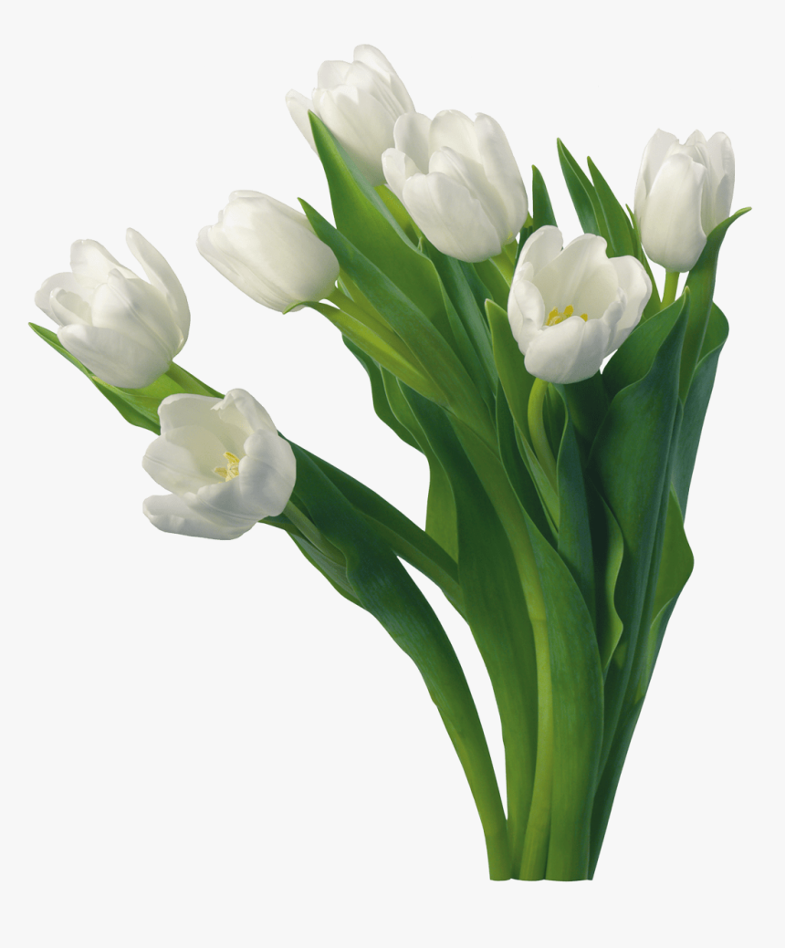 White Roses Images Good Morning, HD Png Download