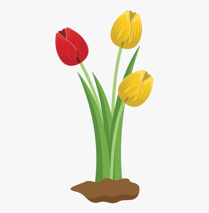 Tulips - Tulip Flower Clipart, HD Png Download