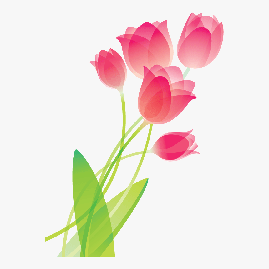 Drawing Coffee Tulip - Drawing Of Flowers Tulip, HD Png Download