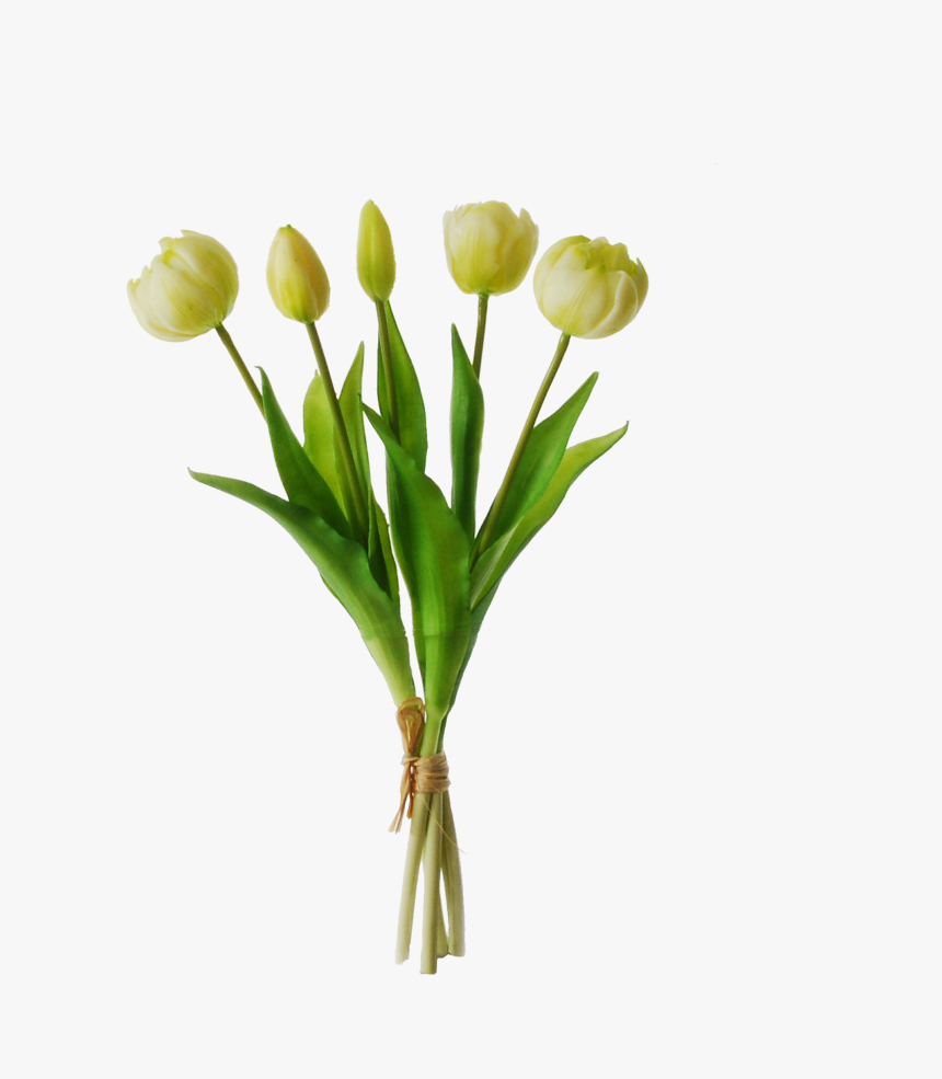 Artificial Tulips In A Bundle, HD Png Download