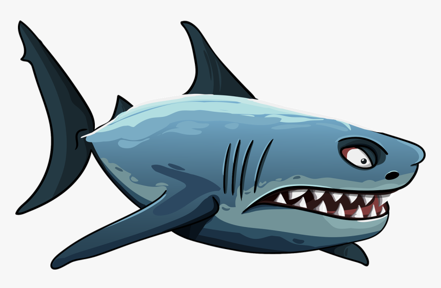 Shark, HD Png Download