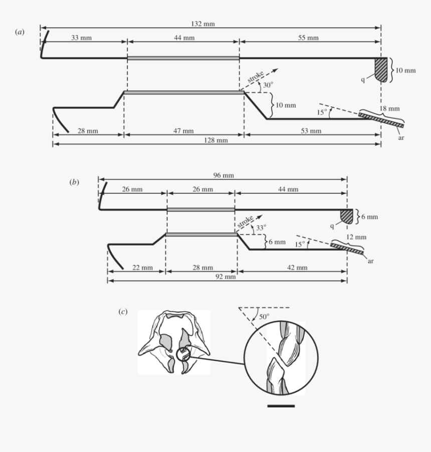 Diagram, HD Png Download