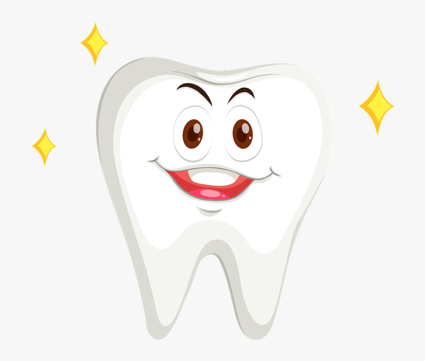 Tooth, Calcified, Jaws, Fossil, Root, Teeth, Predator, HD Png Download