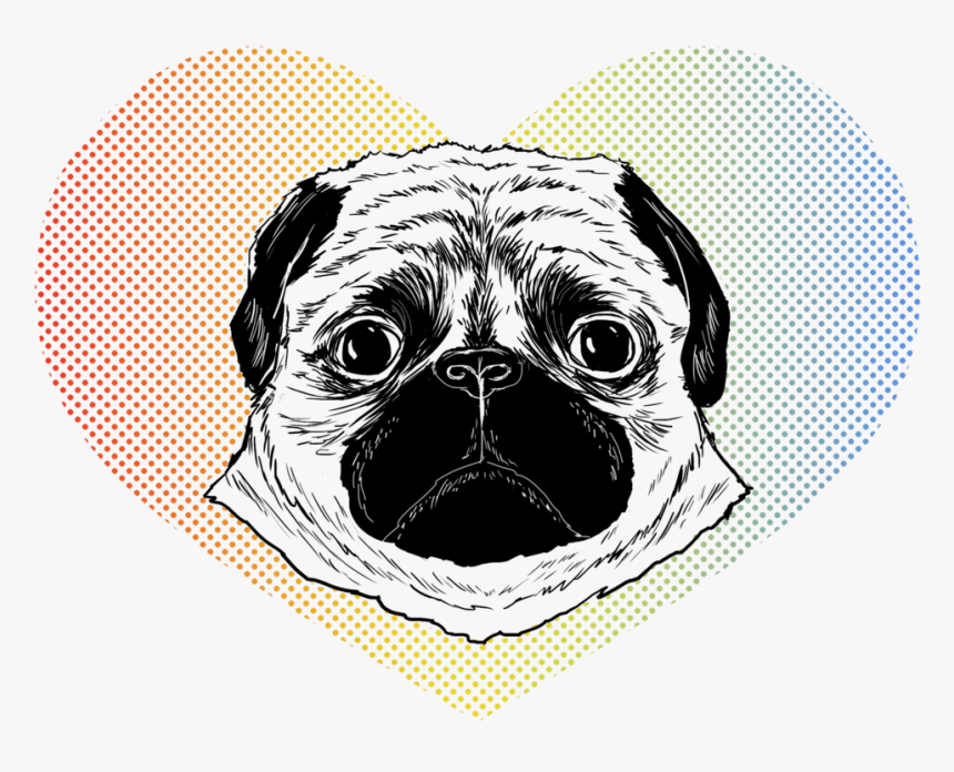 Patrycjaruman Pugface - Pug - Pug, HD Png Download