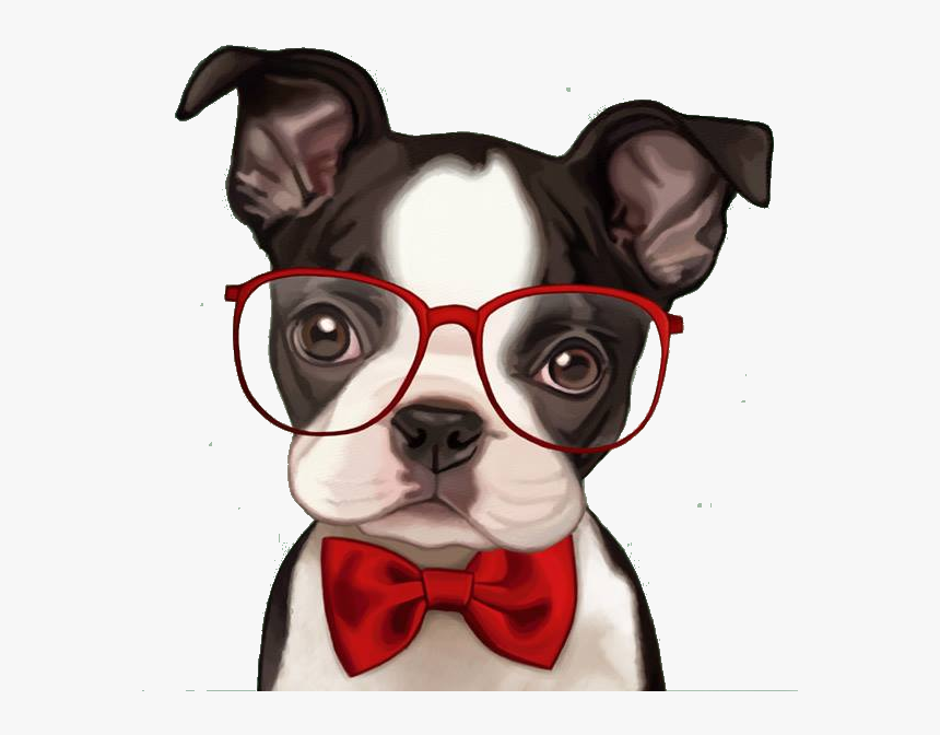 Bulldog Boston Pug French American Retro Party Clipart - Boston Terrier Cartoon, HD Png Download