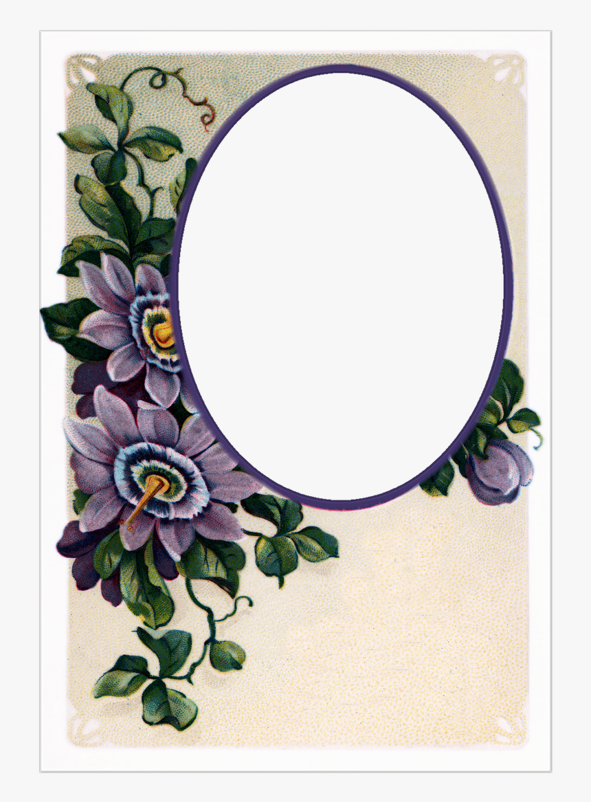 Vintage Postcards Flowers Free Picture - Vintage Postcards Flowers, HD Png Download