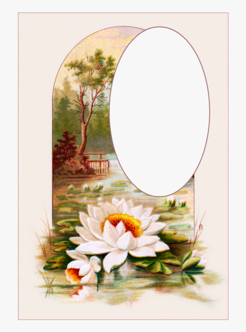 Vintage Postcards Flowers Free Picture, HD Png Download