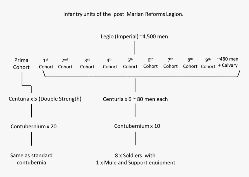 Legion Task Org, HD Png Download