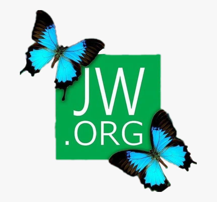 Org #jwlife #jehovahswitnesses #bestlifeever - Fondos De Pantalla Jw Org, HD Png Download