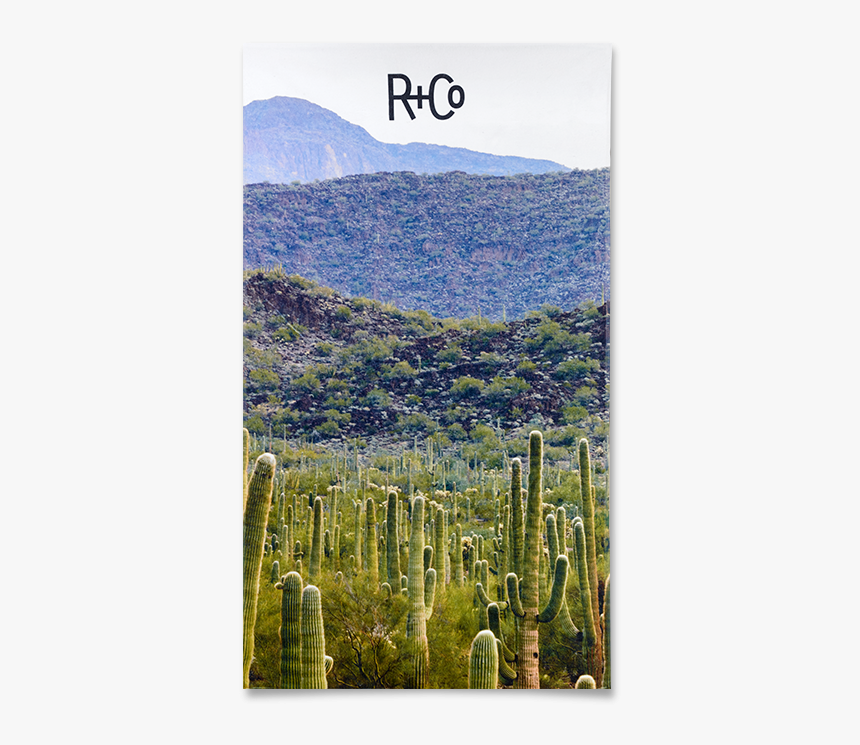 R Co, HD Png Download