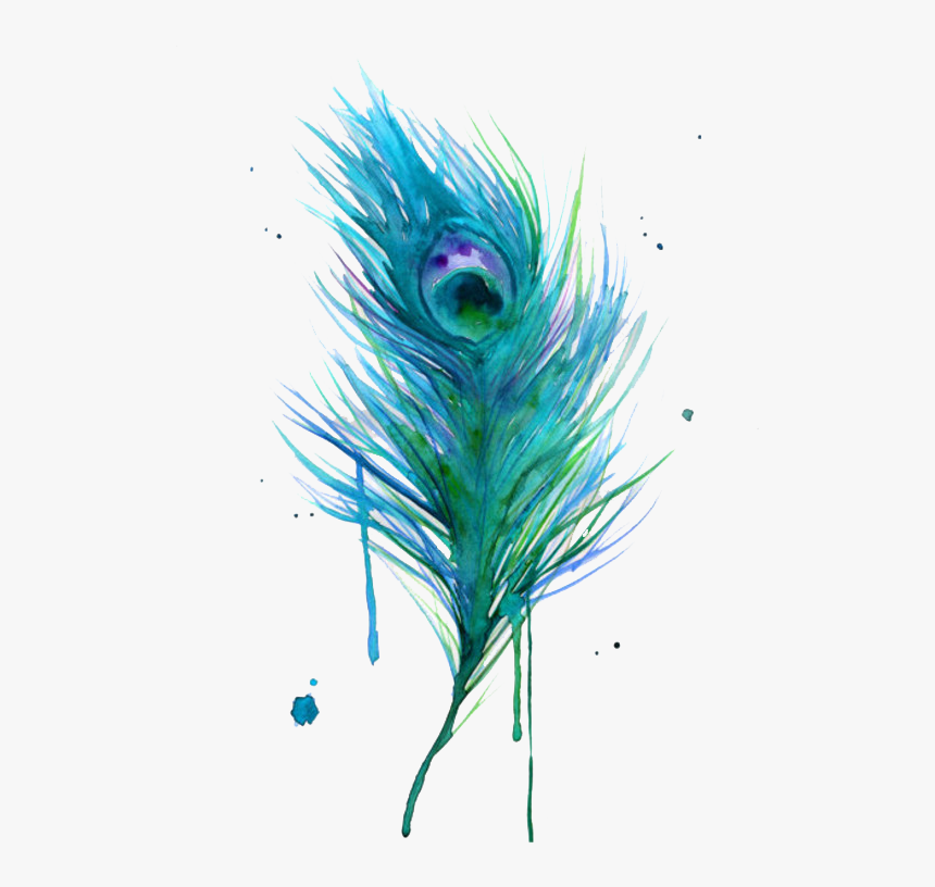 Asiatic Peafowl Feather Bird Clip Art - Watercolor Peacock Feather Painting, HD Png Download