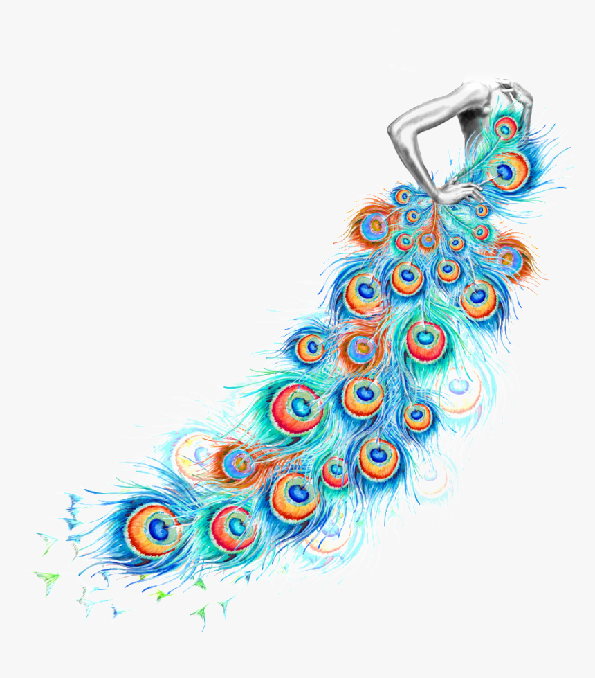 Peacock Clipart Body - Creative Peacock Feather, HD Png Download