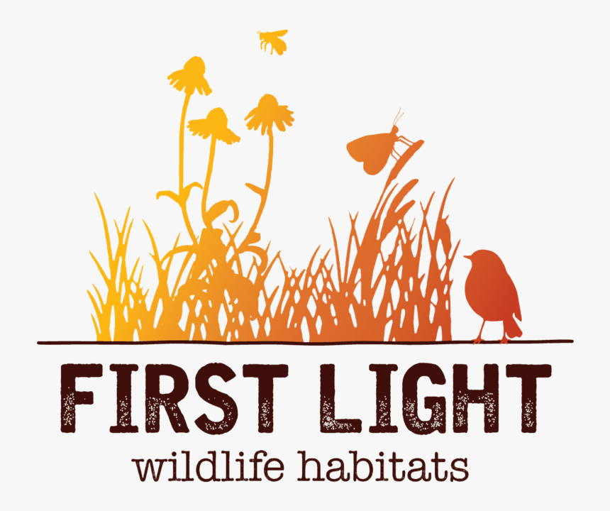 Great Seal Of The United, HD Png Download