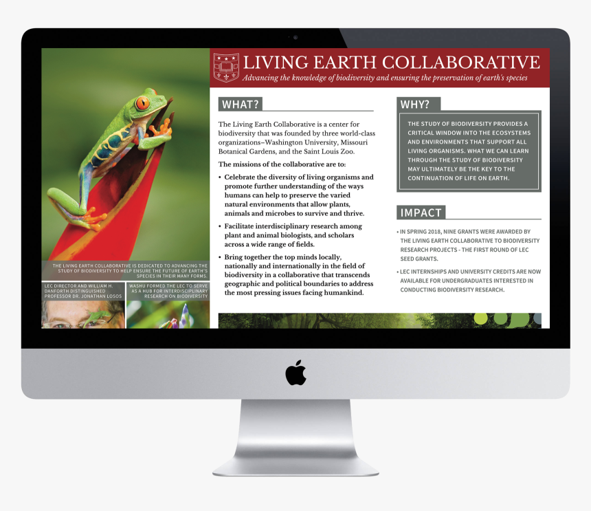 Transparent Professor Oak Png - Pnb Metlife, Png Download