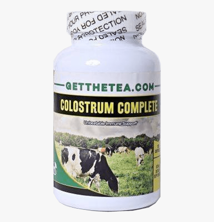 Stallion, HD Png Download