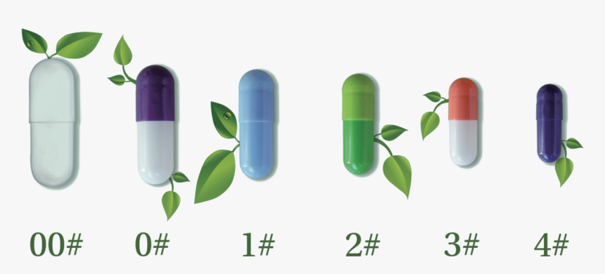 Wild Aus Der Region, HD Png Download