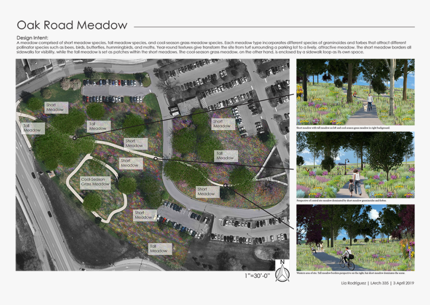 A Student’s Illustration Of The Oak Road Meadow Project - Landscape Architecture Project Show, HD Png Download