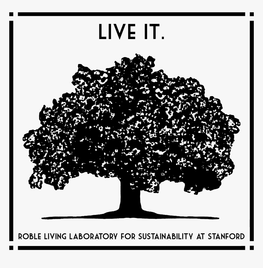 Tree, HD Png Download