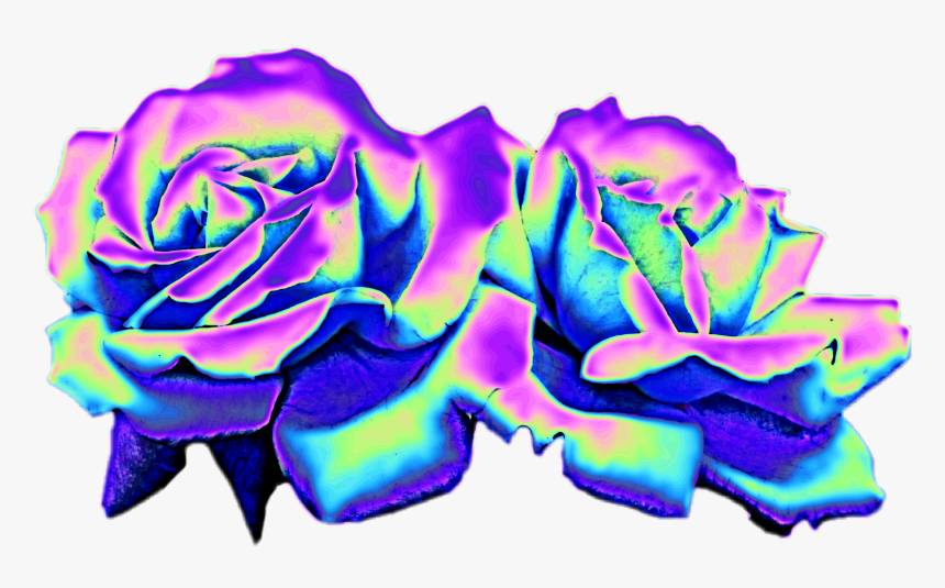 Transparent Png Holographic Roses, Png Download