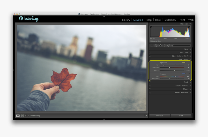 Get A Soft Look In Lightroom, HD Png Download