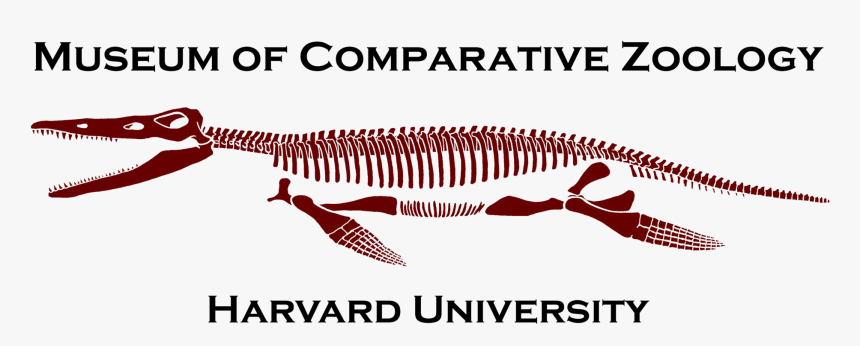 Museum Of Comparative Zoology Logo, HD Png Download