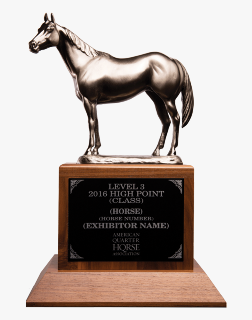 Stallion, HD Png Download