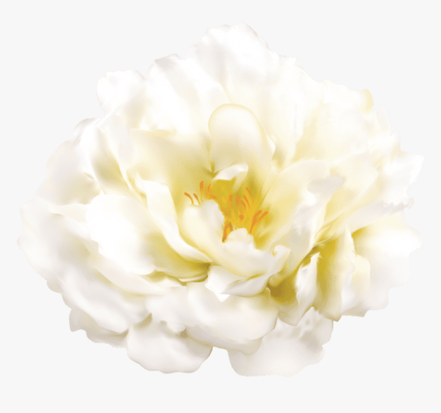 Free Png Download White Flower Transparent Png Images - White Flower Free Png, Png Download