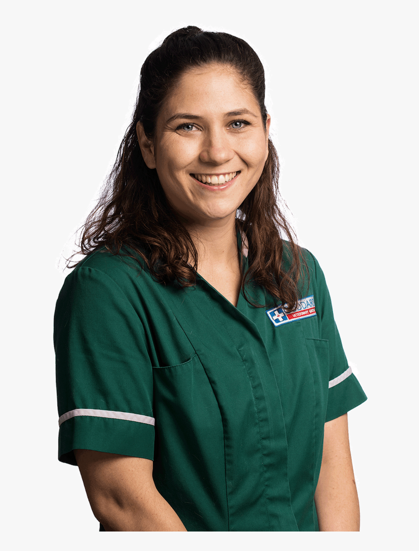 Girl, HD Png Download