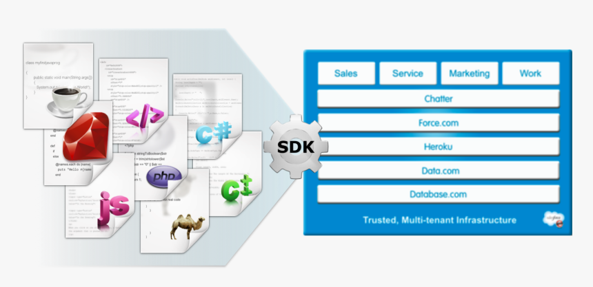 Canvas Languages - Salesforce Mobile Sdk Architecture, HD Png Download