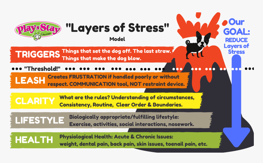 Poster, HD Png Download