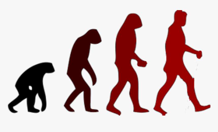 March Of Progress Human Evolution Neanderthal - Change Over Time Biology, HD Png Download